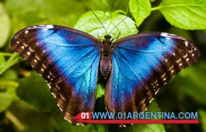 Cultural tours Iguazu