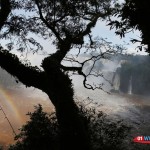 Iguazu falls