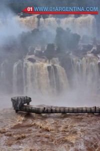 Iguazu falls