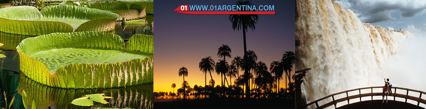 01argentina